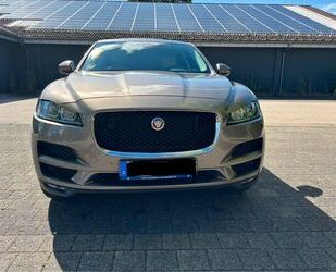 Jaguar F-Pace Gebrauchtwagen