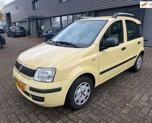 Fiat Panda Gebrauchtwagen