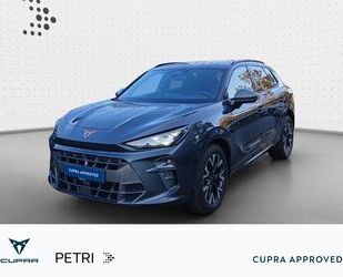 Cupra Terramar Gebrauchtwagen