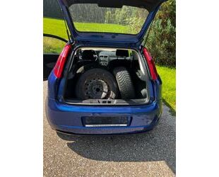 Fiat Punto Gebrauchtwagen