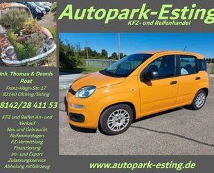 Fiat Panda Gebrauchtwagen