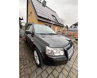 Land Rover Freelander Gebrauchtwagen