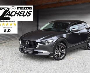 Mazda CX-30 Gebrauchtwagen