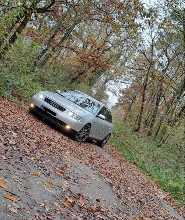 Bild 1