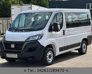 Fiat Ducato Gebrauchtwagen