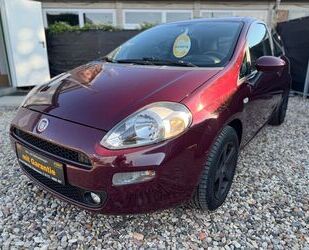 Fiat Punto Gebrauchtwagen