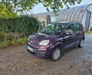 Fiat New Panda Gebrauchtwagen
