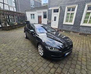 Jaguar XE Gebrauchtwagen