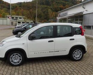 Fiat Andere Gebrauchtwagen
