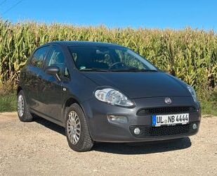 Fiat Punto Gebrauchtwagen