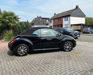 VW Beetle Gebrauchtwagen