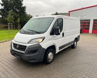 Fiat Ducato Gebrauchtwagen