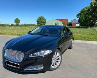 Jaguar XF Gebrauchtwagen