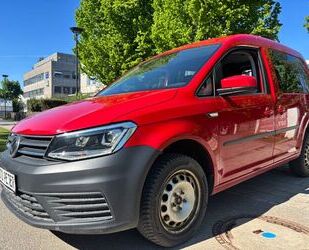 VW Caddy Gebrauchtwagen