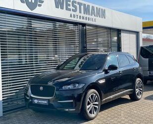 Jaguar F-Pace Gebrauchtwagen