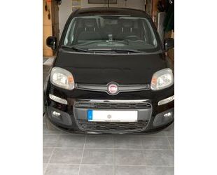 Fiat Panda Gebrauchtwagen