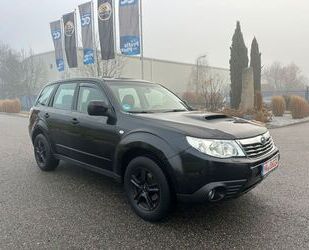 Subaru Forester Gebrauchtwagen