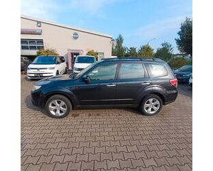 Subaru Forester Gebrauchtwagen