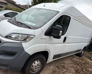 Fiat Ducato Gebrauchtwagen
