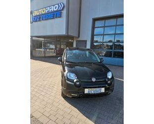 Fiat Panda Gebrauchtwagen