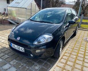 Fiat Punto Gebrauchtwagen