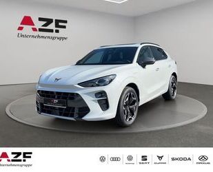 Cupra Terramar Gebrauchtwagen