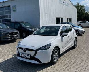Mazda 2 Gebrauchtwagen