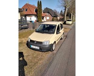 Fiat Panda Gebrauchtwagen