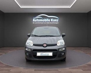 Fiat Panda Gebrauchtwagen