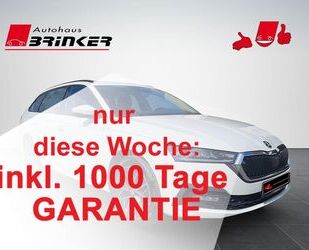 Skoda Octavia Gebrauchtwagen