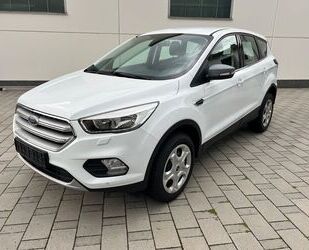 Ford Kuga Gebrauchtwagen