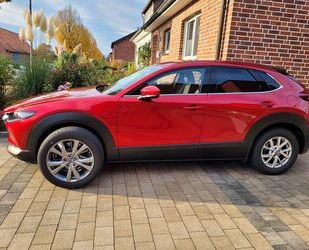 Mazda CX-30 Gebrauchtwagen