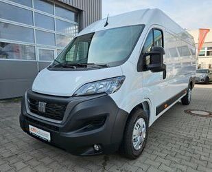 Fiat Ducato Gebrauchtwagen