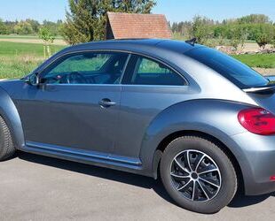VW Beetle Gebrauchtwagen
