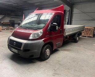 Fiat Ducato Gebrauchtwagen