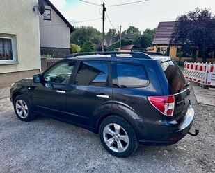 Subaru Forester Gebrauchtwagen