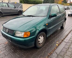 VW Polo Gebrauchtwagen