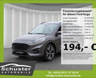 Ford Kuga Gebrauchtwagen