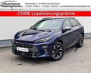 Cupra Terramar Gebrauchtwagen