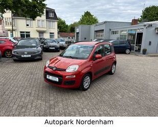Fiat Panda Gebrauchtwagen