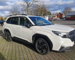 Subaru Forester Gebrauchtwagen