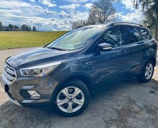 Ford Kuga Gebrauchtwagen