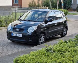 Kia Picanto Gebrauchtwagen
