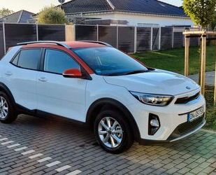 Kia Stonic Gebrauchtwagen