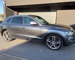 Audi SQ5 Gebrauchtwagen