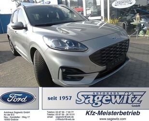 Ford Kuga Gebrauchtwagen