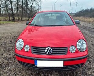 VW Polo Gebrauchtwagen