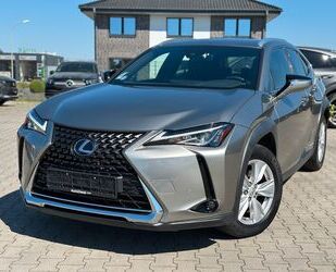 Lexus UX Gebrauchtwagen