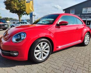 VW Beetle Gebrauchtwagen