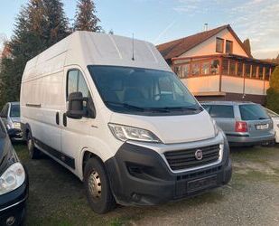 Fiat Ducato Gebrauchtwagen
